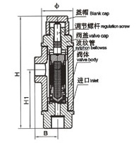 CS14H/F液體膨脹式膜盒式蒸汽疏水閥外形尺寸圖